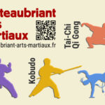 Image de Châteaubriant Arts Martiaux (CAM)