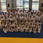 Image de Judo Club Castelbriantais
