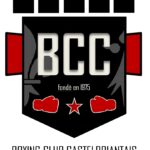 Image de Boxing Club Castelbriantais