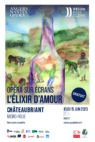 AFFICHE – OSE- ELIXIR – 40 60 Chateaubriant